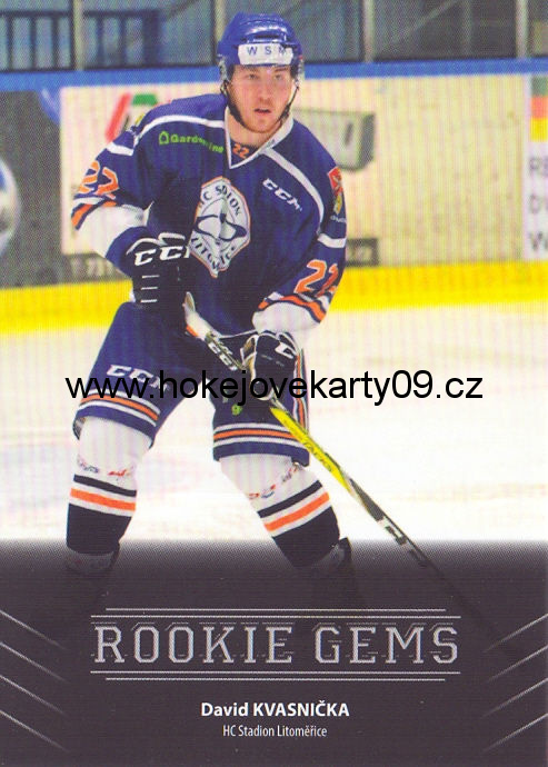 17-18 Premium Cards - David KVASNIČKA č. RC11