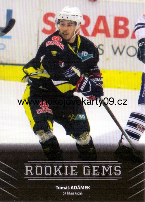 17-18 Premium Cards - Tomáš ADÁMEK č. RC35