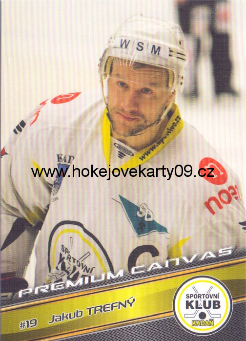 17-18 Premium Cards - Jakub TREFNÝ č. PC15