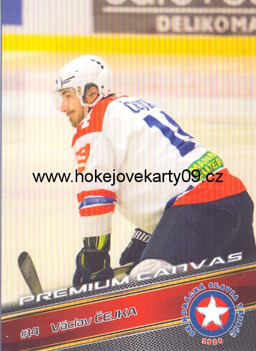 17-18 Premium Cards - Václav ČEJKA č. PC18