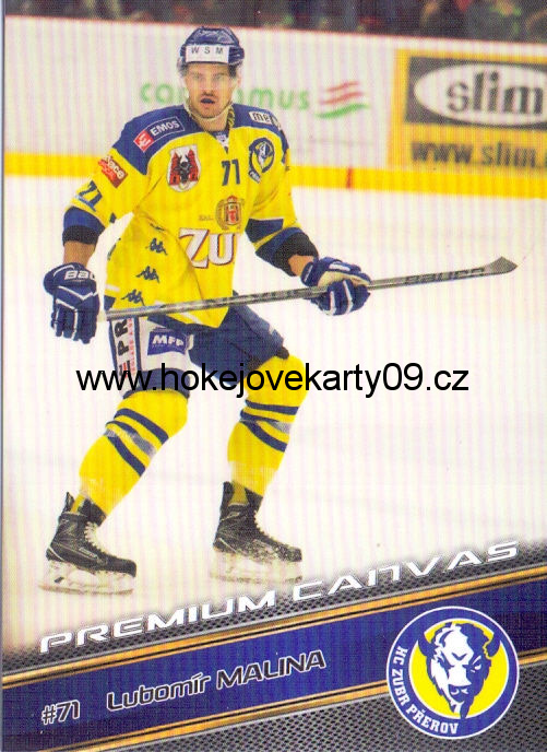 17-18 Premium Cards - Lubomír MALINA č. PC34