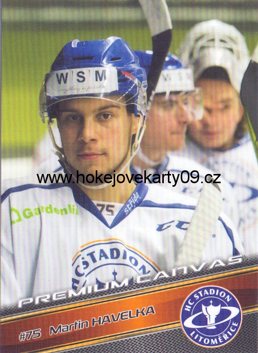 17-18 Premium Cards - Martin HAVELKA č. PC36