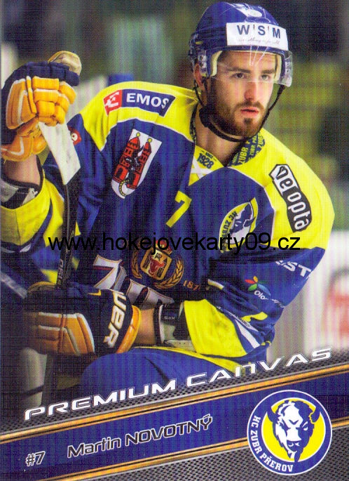 17-18 Premium Cards - Martin NOVOTNÝ č. PC42