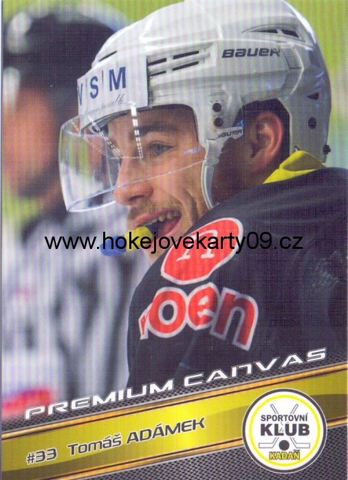17-18 Premium Cards - Tomáš ADÁMEK č. PC47