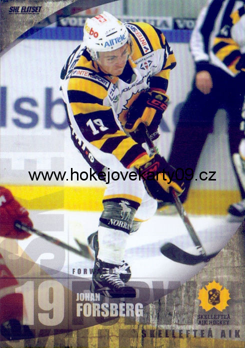 11-12 SHL - Johan FORSBERG č. 117