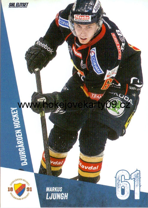 14-15 SHL - Markus LJUNGH č. 21