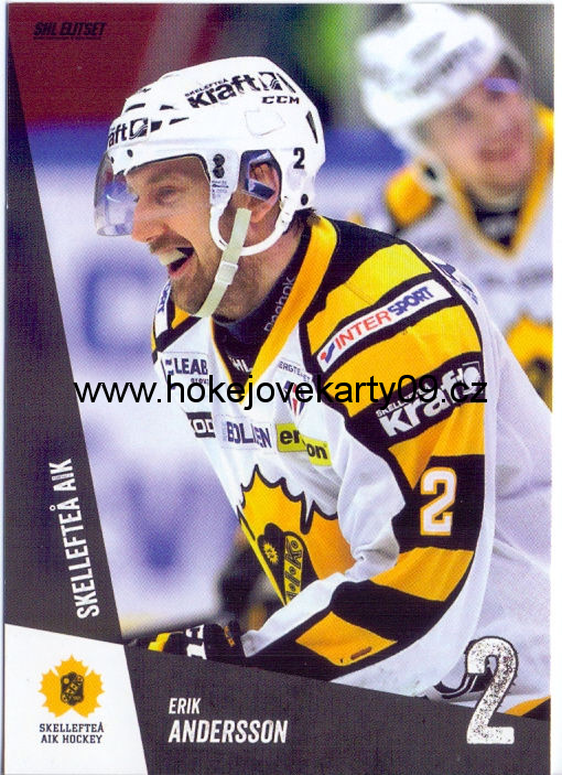 14-15 SHL - Erik ANDERSSON č. 110