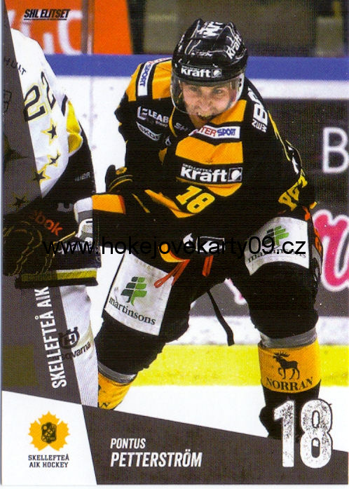 14-15 SHL - Pontus PETTERSTRÖM č. 116