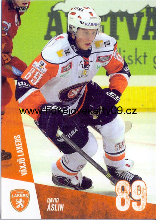 14-15 SHL - David ASLIN č. 131