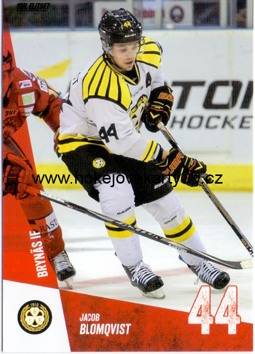 14-15 SHL - Jacob BLOMQVIST č. 165