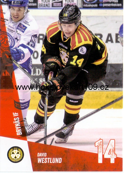 14-15 SHL - David WESTLUND č. 166