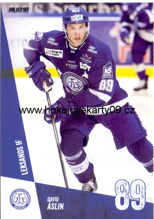 14-15 SHL - David ASLIN č. 223