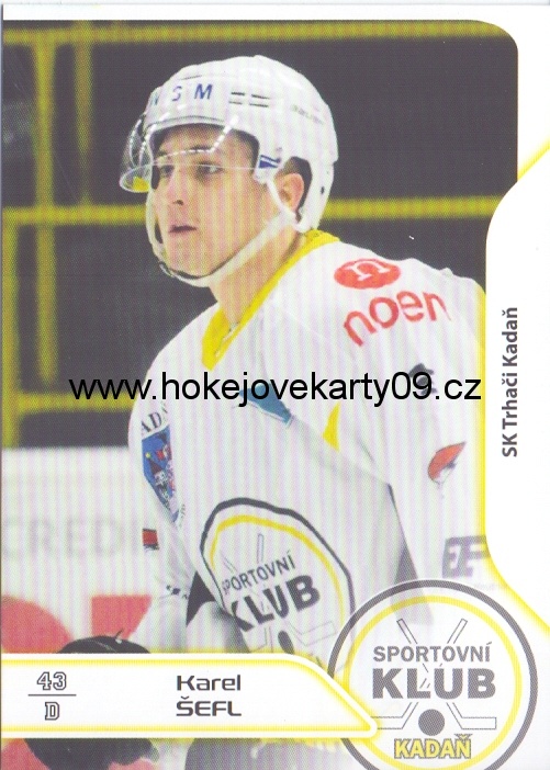 17-18 Premium Cards - Karel ŠEFL č. 176