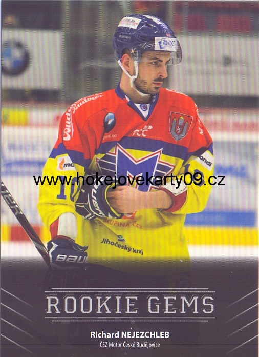 17-18 Premium Cards - Richard NEJEZCHLEB č. RC49