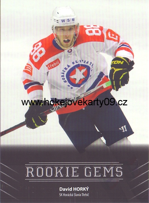 17-18 Premium Cards - David HORKÝ č. RC52