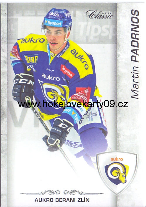 17-18 OFS - Martin PADRNOS č. 386
