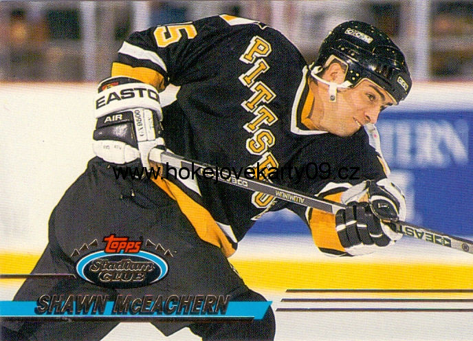 93-94 Stadium Club - Shawn McEACHERN č. 189