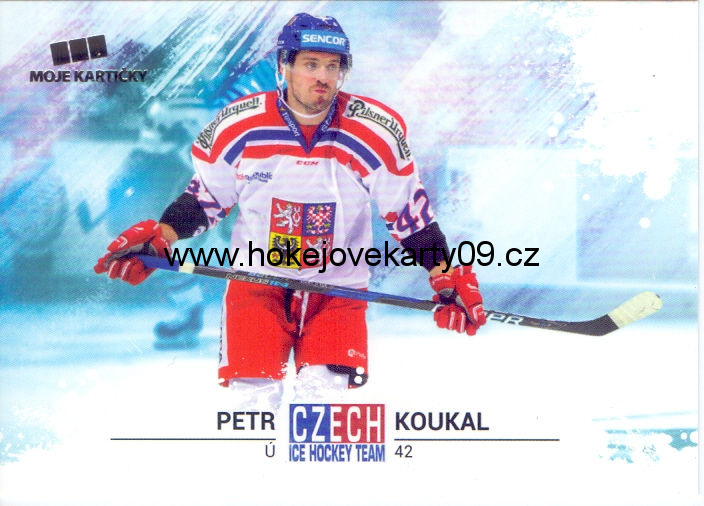 2018 CIHT - Petr KOUKAL č. 19