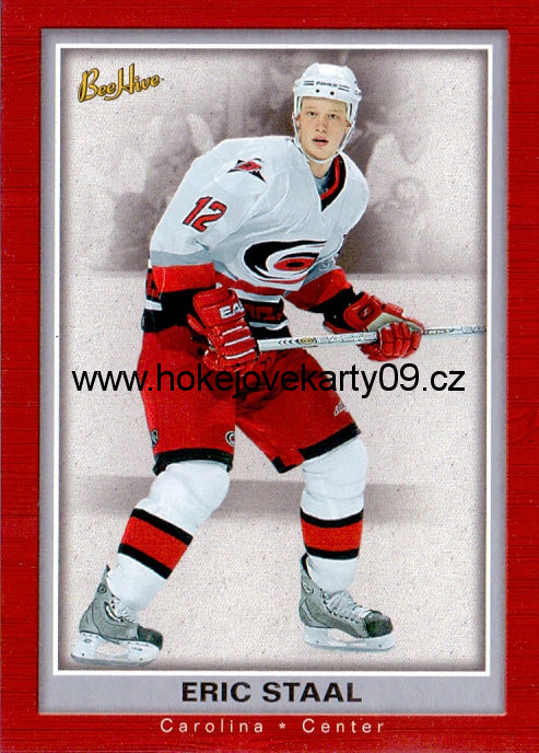05-06 Bee Hive - Eric STAAL č. 18