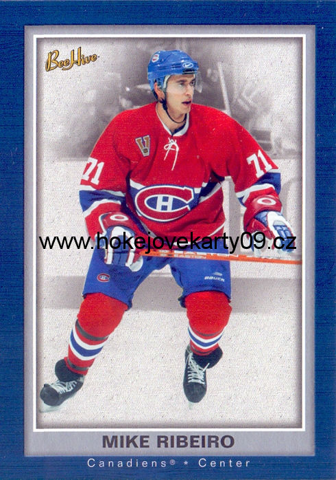 05-06 Bee Hive - Mike RIBEIRO č. 49