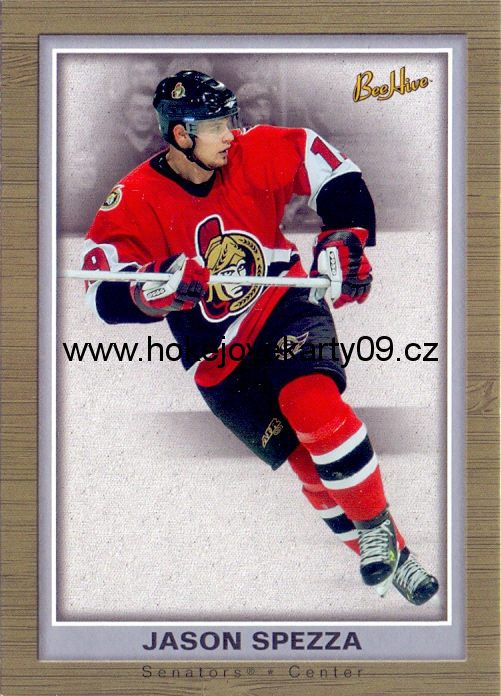 05-06 Bee Hive - Jason SPEZZA č. 63