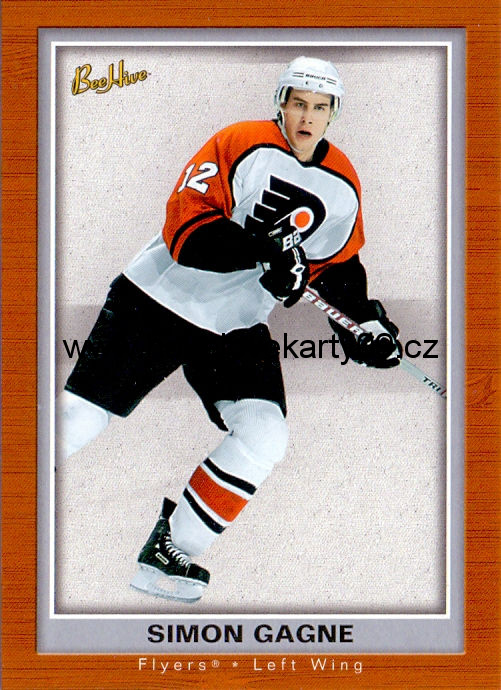 05-06 Bee Hive - Simon GAGNE č. 68