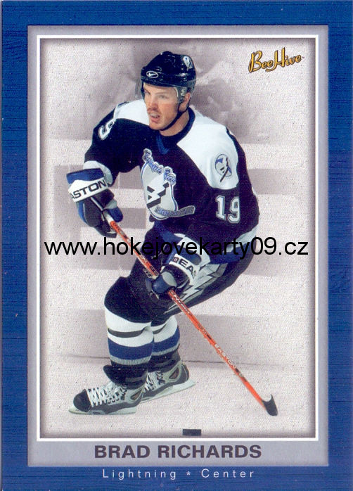 05-06 Bee Hive - Brad RICHARDS č. 82