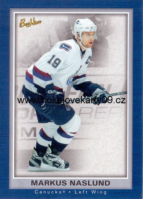 05-06 Bee Hive - Markus NASLUND č. 87