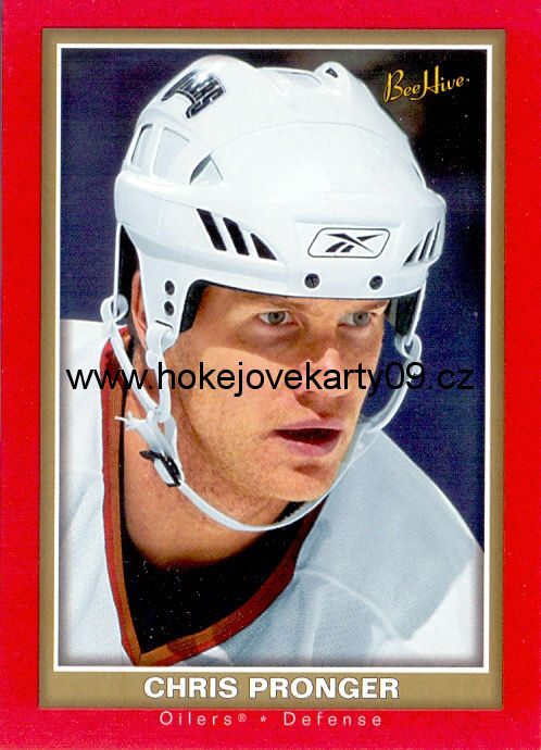 05-06 Bee Hive - Chris PRONGER č. 36 RED