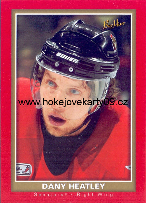 05-06 Bee Hive - Dany HEATLEY č. 61 RED