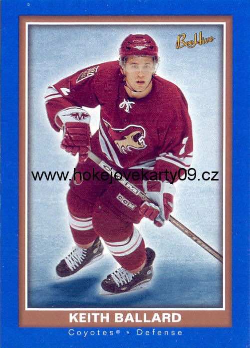 05-06 Bee Hive - Keith BALLARD č. 132 (RC) BLUE