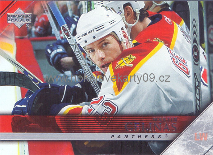 05-06 Upper Deck - Martin GELINAS č. 330