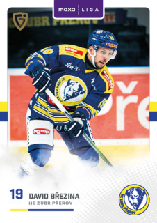 25-26 GOAL CARDS - David BŘEZINA č. PRE-14