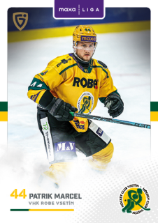 25-26 GOAL CARDS - Patrik MARCEL č. VSE-03 Canvas