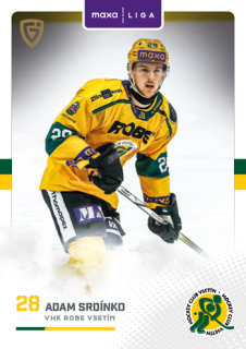 25-26 GOAL CARDS - Adam SRDÍNKO č. VSE-06
