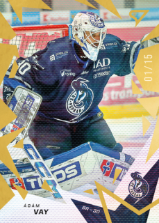 25-26 TIPSPORT LIGA - Ádám VAY č. 110 Golden Glow x/15