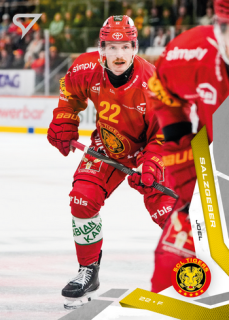 25-26 NLA - Joel SALZGEBER č. 143