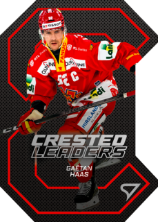 25-26 NLA - Gaëtan HAAS č. CL-31 Crested Leaders