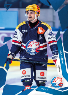 25-26 NLA - Denis MALGIN č. 017 Blue
