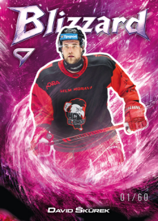 25-26 TELH - David ŠKŮREK č. BL-43 Blizzard Coral Pink x/60