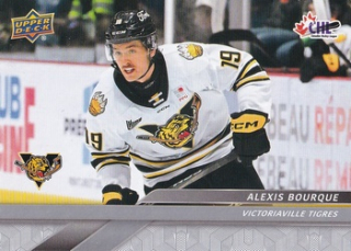 24-25 CHL - Alexis BOURQUE č. 234