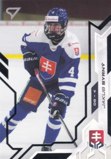 25-26 TIPOS SHL - Jakub SYRNÝ č. 138 Silver