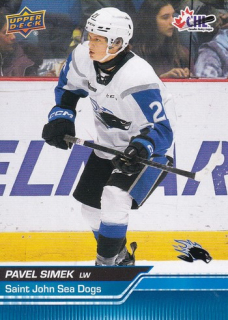 Pavel ŠIMEK 23-24 UD CHL č. 234 Blue