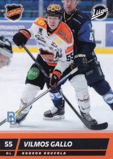 25-26 Blueline - Vilmos GALLO č. 95
