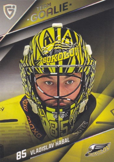 25-26 GOAL CARDS - Vladislav HABAL č. TG-13 Team Goalie Parallel x/15