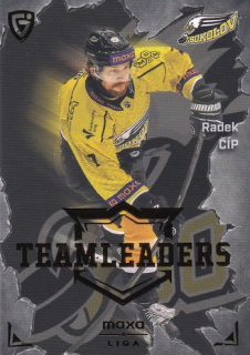 25-26 GOAL CARDS - Radek ČÍP č. TL-03 Team Leaders