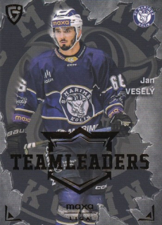 25-26 GOAL CARDS - Jan VESELÝ č. TL-23 Team Leaders