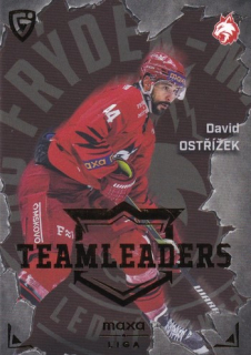 25-26 GOAL CARDS - David OSTŘÍŽEK č. TL-26 Team Leaders