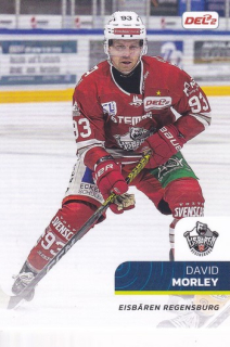 25-26 DEL2 - David MORLEY č. DEL2-262