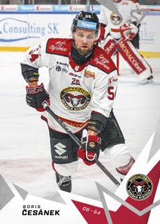 25-26 TIPSPORT LIGA - Boris ČESÁNEK č. 264